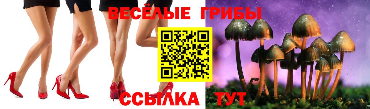 Псилоцибиновые грибы прущие грибы  Галлюциногенные грибы Cubensis  Кизляр  Вход с VPN 